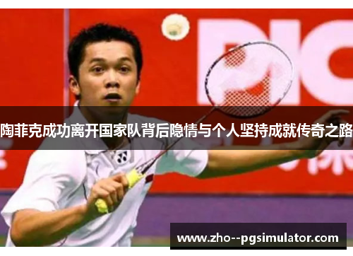 陶菲克成功离开国家队背后隐情与个人坚持成就传奇之路