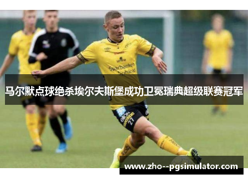 马尔默点球绝杀埃尔夫斯堡成功卫冕瑞典超级联赛冠军 马尔默点球绝杀埃尔夫斯堡成功卫冕瑞典超级联赛冠军