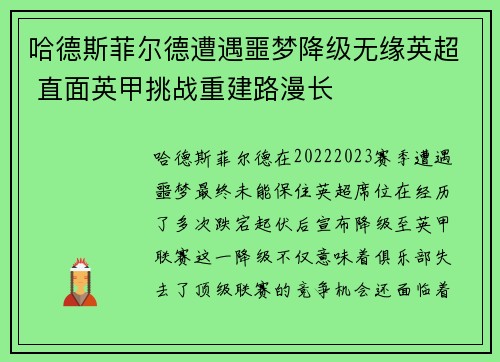 哈德斯菲尔德遭遇噩梦降级无缘英超 直面英甲挑战重建路漫长 哈德斯菲尔德遭遇噩梦降级无缘英超 直面英甲挑战重建路漫长